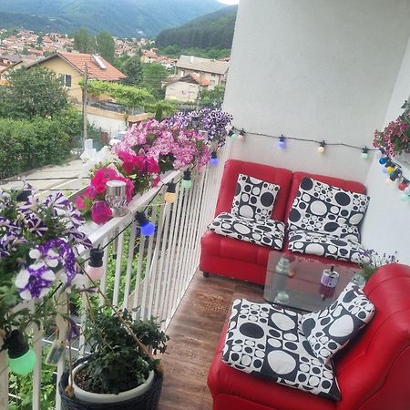 Guesthouse Jasmin Sapareva Banya Exterior foto